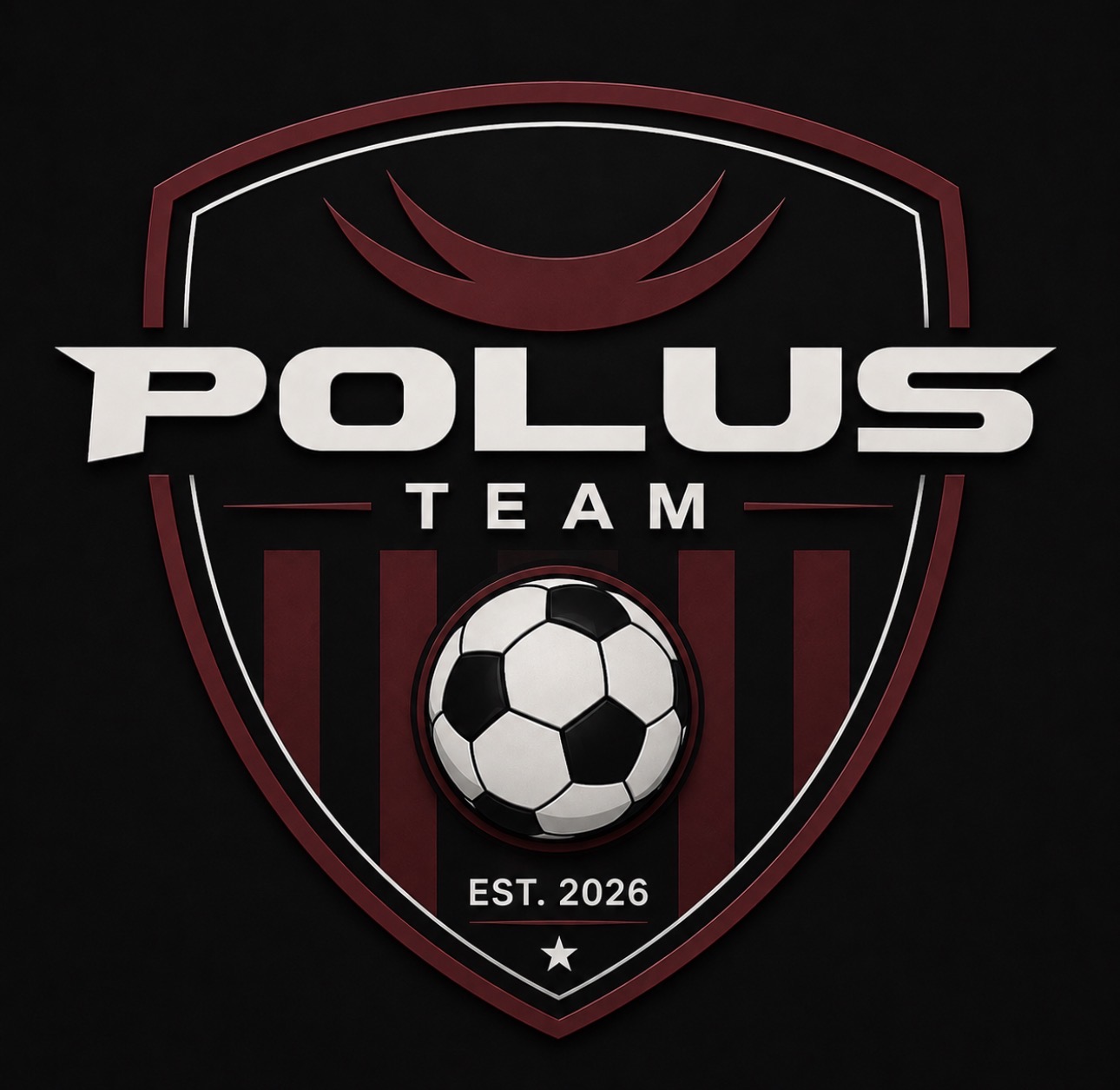 POLUS TEAM